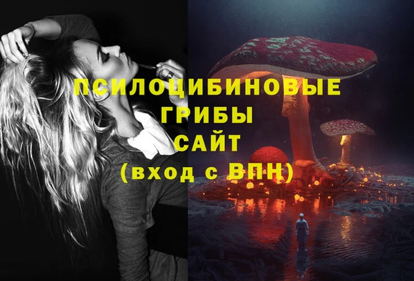 PSILOCYBIN Нея