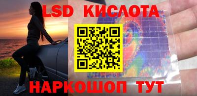 шишки Волжск