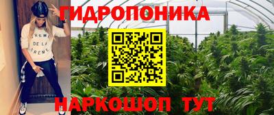 шишки Волжск