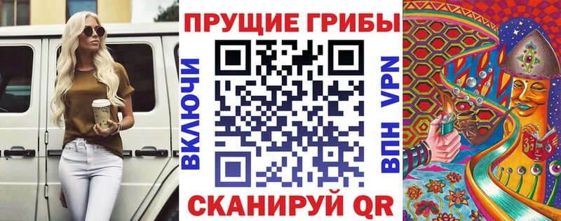 Псилоцибиновые грибы Psilocybe  купить наркотики цена  Ишимбай 