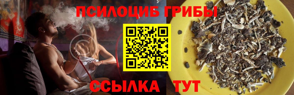 наркотики  Псилоцибиновые грибы Psilocybe  Ишимбай  Вход с VPN  Галлюциногенные грибы GOLDEN TEACHER 